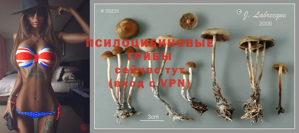 спайс Рославль