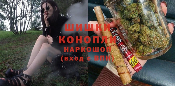 спайс Рославль
