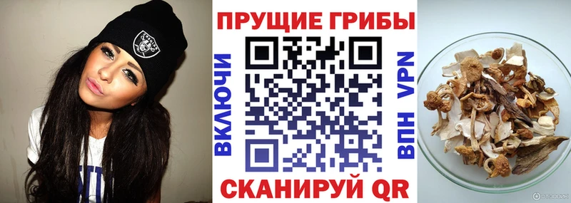 Псилоцибиновые грибы MAGIC MUSHROOMS Армянск
